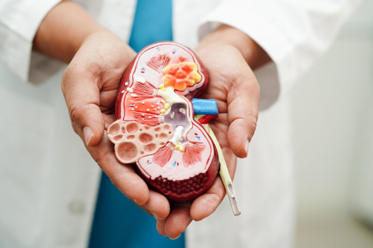 Perspektiven für CKD-Patienten