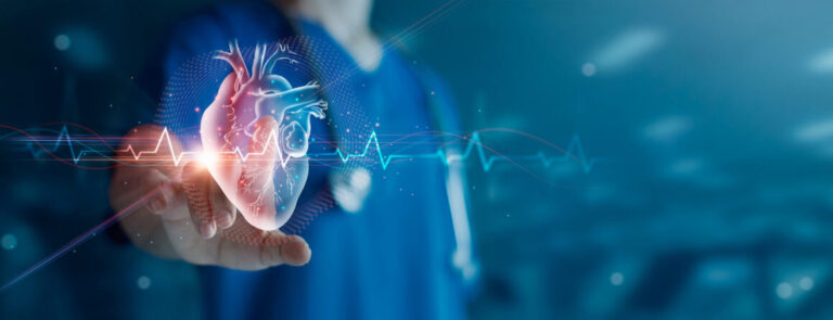 Das die LEM-Domäne enthaltende Protein 2 ist essenziell für die Herzentwicklung