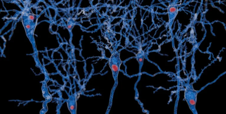 Optimiertes Therapiemanagement für eine bessere Lebensqualität